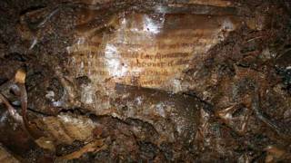 Egyptian papyrus discovered in Irish bog