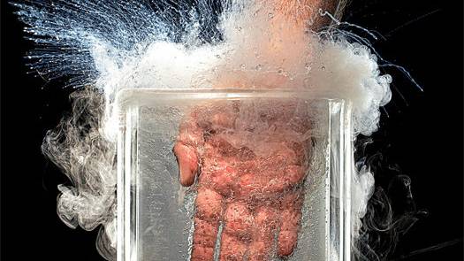 I Fully Submerge My Hand in Liquid Nitrogen!