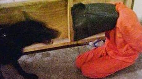 WikiLeaks: A Grim Portrait of Civilian Deaths in Iraq