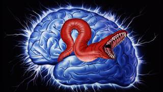 "Alien" Parasite Removed from Womans Brain