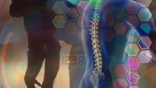 Primates have a hidden ability to repair their own damaged spines