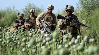 Are America's Mercenary Armies Really Drug Cartels?