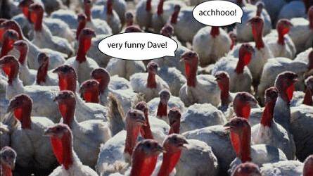 1918 and 2009 H1N1 Flu Probably Not Spread by Birds