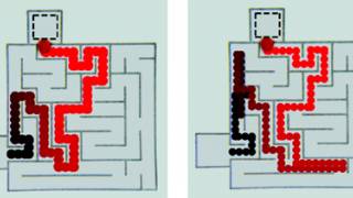 What a maze-solving oil drop tells us of intelligence