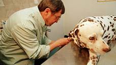 Britons 'could be microchipped like dogs in a decade'