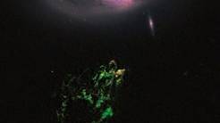 Hubble telescope zeroes in on green blob in space