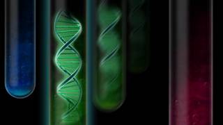 DNA molecules can ’teleport’, Nobel Prize winner claims