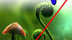 Australia in the Process of Making Thousands of Plants Illegal