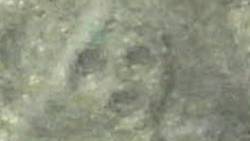 Scientists claim new geoglyph find in Nazca, Peru