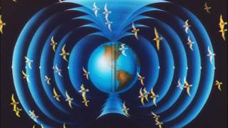 Birds use quantum theory to literally 'see' Earth's magnetic field as they fly
