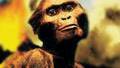 New Bone Suggests Lucy Walked Like Us (Video)