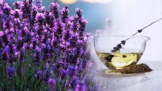Lavender oil has potent antifungal effect