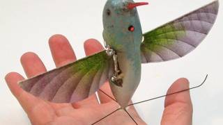DARPA Showcases Hummingbird-Shaped Spy Drone