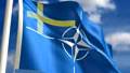 The Bases of Empire: Sweden fights for NATO, not Neutrality (Video)
