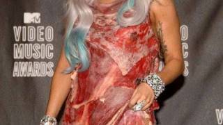 Lady Gaga fan kills cat for blood