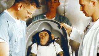 Iran To Send Monkey Into Space