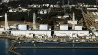 Japan says plant clean-up will take decades