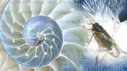 Nature’s hidden prime number code