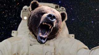 Astronauts could hibernate like bears