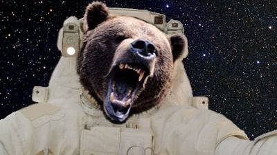 Astronauts could hibernate like bears