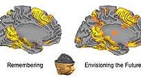 Time on the Brain: How You Are Always Living In the Past, and Other Quirks of Perception