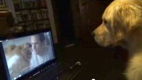 Nestle ad first to pitch to canine customers