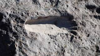 25,000 year-old human footprints found in Mexico