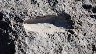 25,000 year-old human footprints found in Mexico