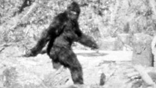 Scientists ’95% Sure’ Bigfoot Lives in Russian Tundra