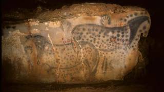 Cave painters were realists, DNA study finds