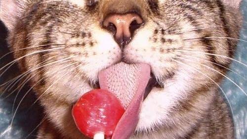 Really Bad Idea Alert: Mail Order ChickenPox Pops