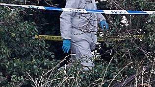 Victim identified in Queen’s estate murder mystery