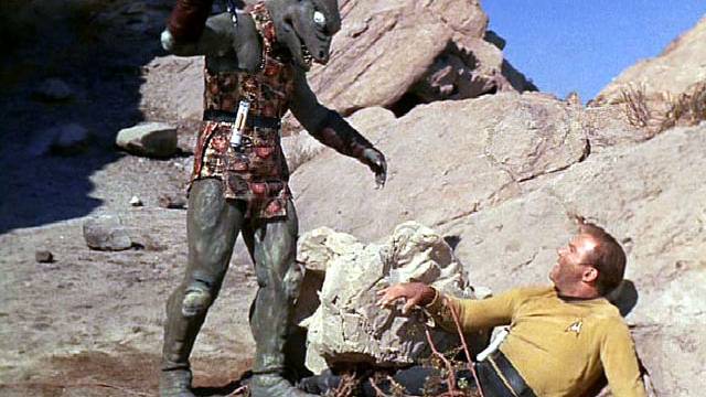 What if there were another advanced species on earth?