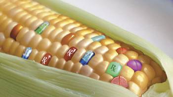 Europe’s Secret Plan to Boost GM Crop Production