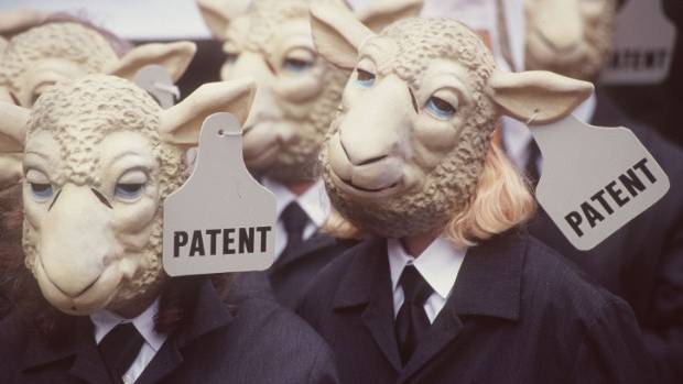 Open Seeds: Biopiracy and the Patenting of Life