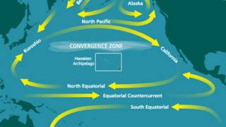 FUKUSHIMA: Pacific Ocean Will Not Dilute Dumped Radioactive Water