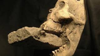 Vampire Skeletons Found in Bulgaria