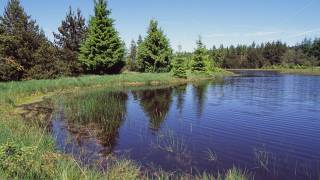 Bones of 200 soldiers from time of Christ so well preserved in bog that their DNA can be studied