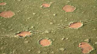 Mysterious African ’Fairy Circles’ Stump Scientists