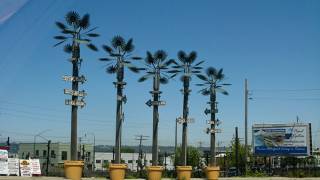 Singapore’s man-made ‘Supertrees’ flourish amongst city’s concrete jungle