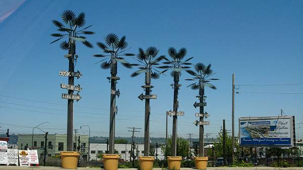Singapore’s man-made ‘Supertrees’ flourish amongst city’s concrete jungle