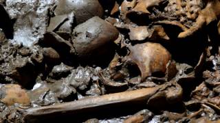 Mexico finds large, unusual Aztec burial site