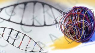 Far From ‘Junk’, Bits of Mystery DNA Play Crucial Role