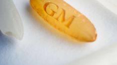 How China and US ’secretly tested genetically modified golden rice on children’