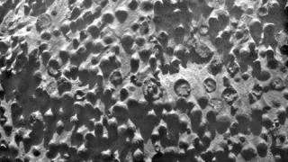 Mystery Spheres on Mars Baffle Scientists