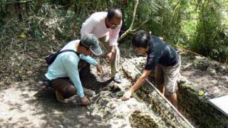 Ancient, sarcophagus-like tombs discovered in Philippines jungle