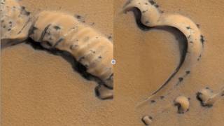 Spidery black objects on Mars surface raise speculation