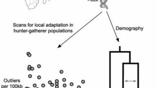 Ancient Foreign DNA Found in Modern Human DNA