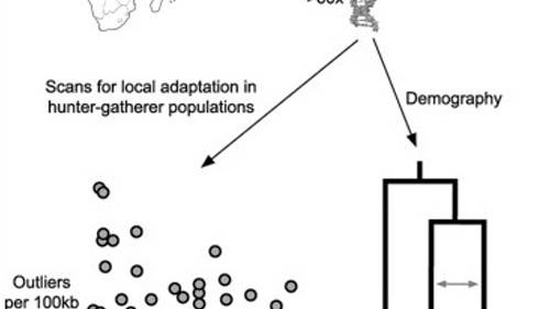 Ancient Foreign DNA Found in Modern Human DNA