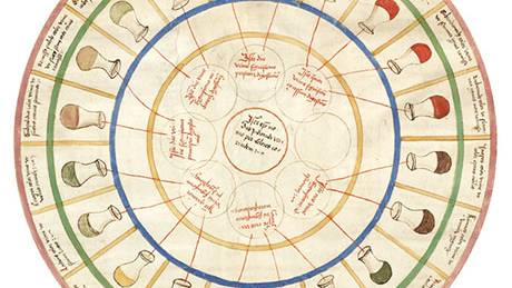 Urine flavor wheels (Mmm!)